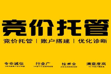 案例分析：成功SEM托管策略全解析